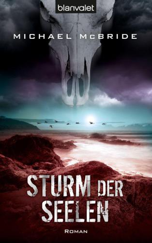 Sturm der Seelen (Roman)