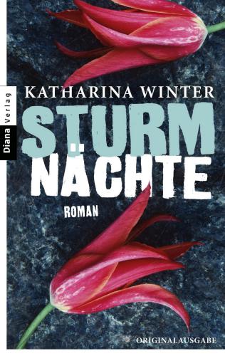 Sturmnächte : Roman