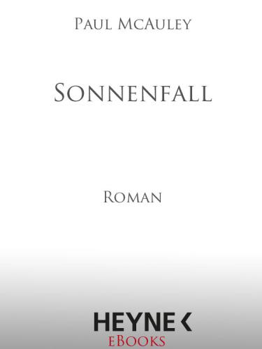 Sonnenfall : Roman