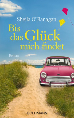 Bis das Glück mich findet : Roman