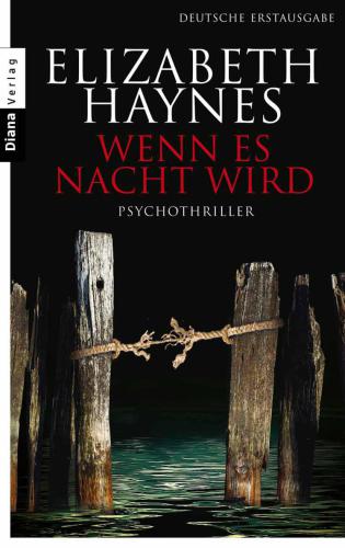 Wenn es Nacht wird Psychothriller