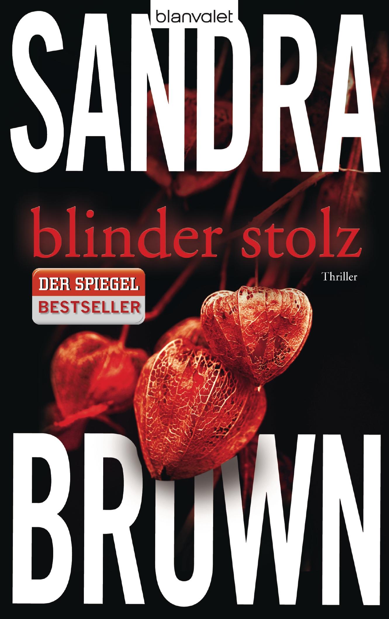 Blinder Stolz : Thriller