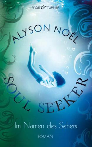 Im Namen des Sehers Soul Seeker ; 3