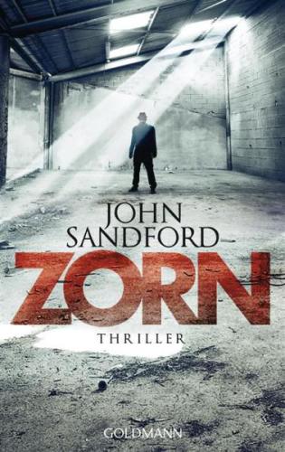 Zorn : Thriller