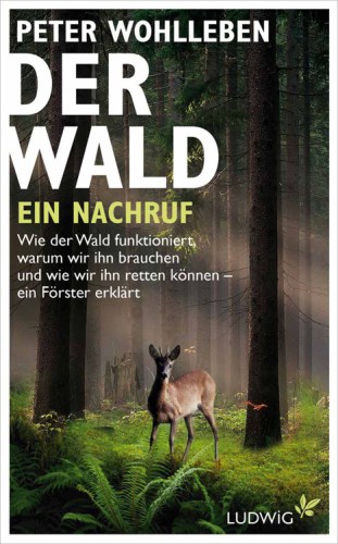 Der Wald : Eine Entdeckungsreise