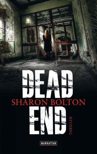 Dead End--Lacey Flint 2