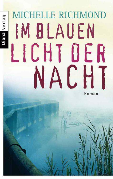 Im blauen Licht der Nacht : Roman