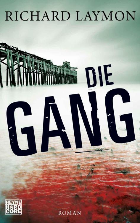 Die Gang : Roman