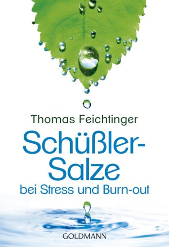 Schüßler-Salze bei Stress und Burn-out