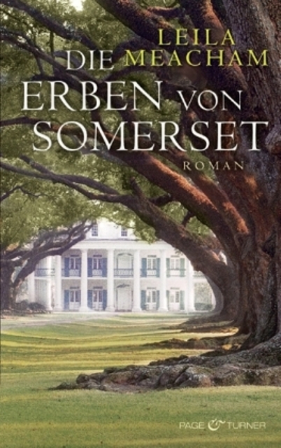 Die Erben von Somerset : Roman