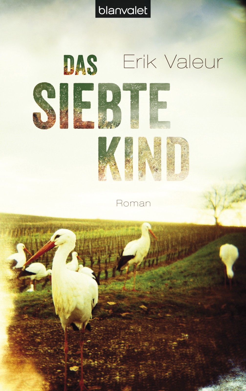 Das siebte Kind : Roman