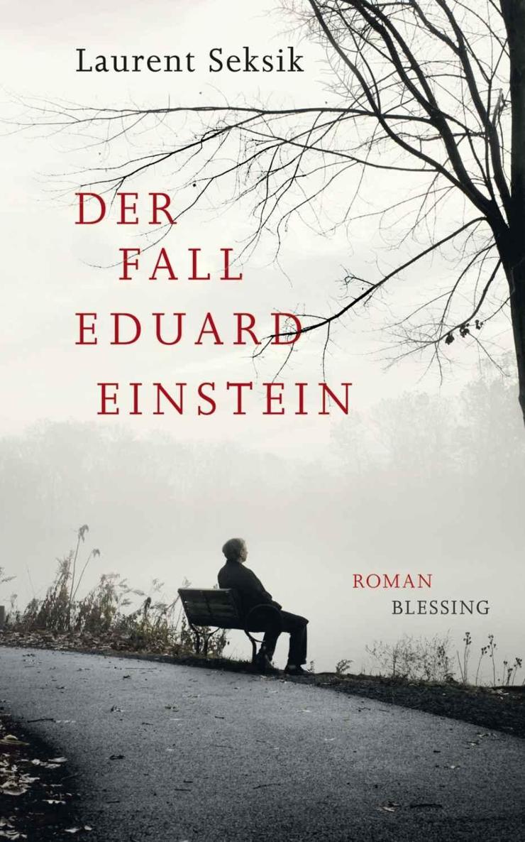 Der Fall Eduard Einstein Roman