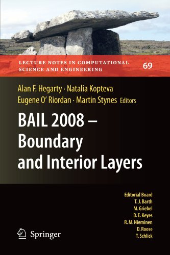 Bail 2008   Boundary And Interior Layers