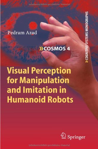 Visual Perception for Manipulation and Imitation in Humanoid Robots