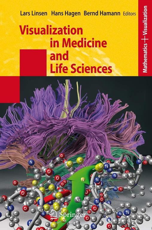 Visualization in Medicine and Life Sciences (Mathematics and Visualization)