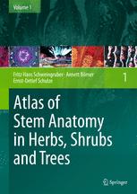 Atlas of Stem Anatomy in Herbs