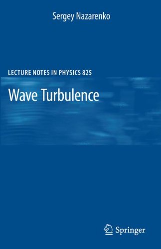 Wave Turbulence (Lecture Notes In Physics)