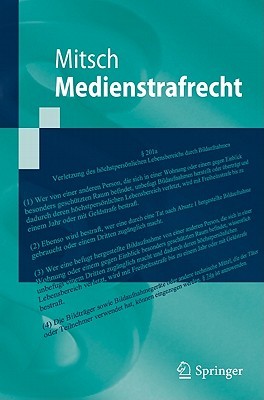 Medienstrafrecht