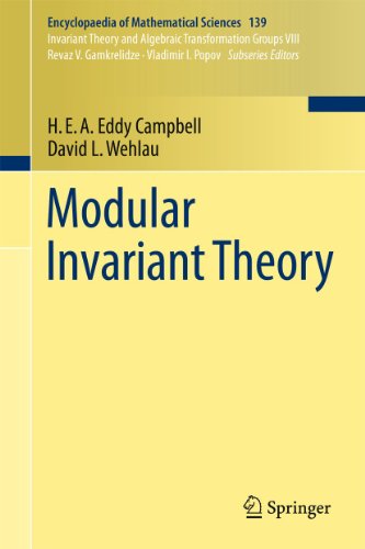 Modular Invariant Theory (Encyclopaedia Of Mathematical Sciences)