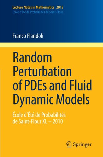 Random Perturbation of Pdes and Fluid Dynamic Models