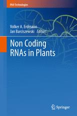 Non Coding Rnas in Plants