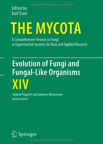 Evolution Of Fungi And Fungal Like Organisms (The Mycota)