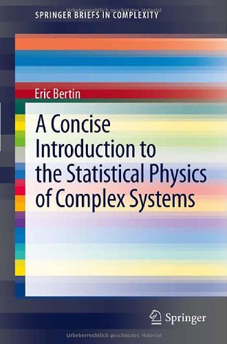 A Concise Introduction to the Statistical Physics of Complex Systems