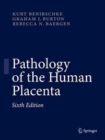 Pathology of the human placenta