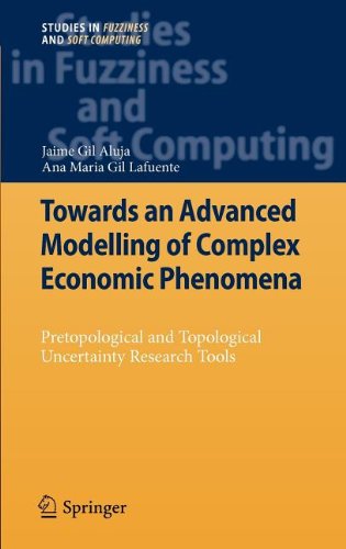 Towards an Advanced Modelling of Complex Economic Phenomena