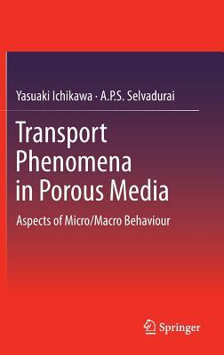 Transport Phenomena in Porous Media