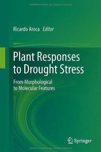 Plant Responses to Drought Stress