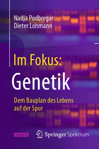 Im Fokus