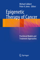 Epigenetic Therapy of Cancer Preclinical Models and Treatment Approaches