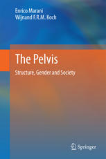 The Pelvis: Structure.