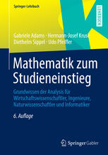 Mathematik zum Studieneinstieg : Grundwissen der Analysis für Wirtschaftswissenschaftler, Ingenieure, Naturwissenschaftler und Informatiker