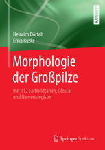 Morphologie der Grosspilze