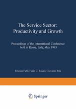 The Service Sector: Productivity and Growth Proceedings of the International Conference held in Rome, Italy, May 27-28 1993