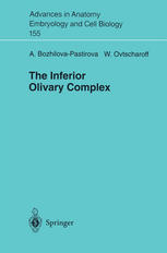 The inferior olivary complex