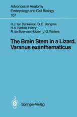 The Brain stem in a lizard, Varanus exanthematicus