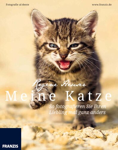 Meine Katze so fotografieren Sie Ihren Liebling mal ganz anders