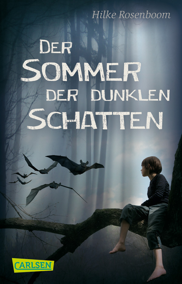 Der Sommer der dunklen Schatten