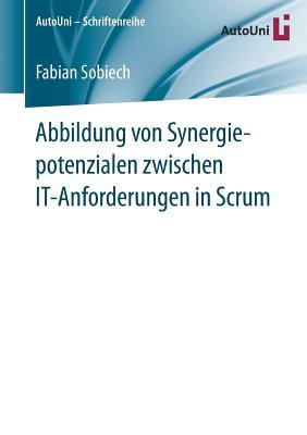 Abbildung Von Synergiepotenzialen Zwischen It-Anforderungen in Scrum