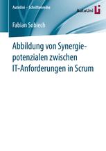 Abbildung von Synergiepotenzialen zwischen IT-Anforderungen in Scrum.