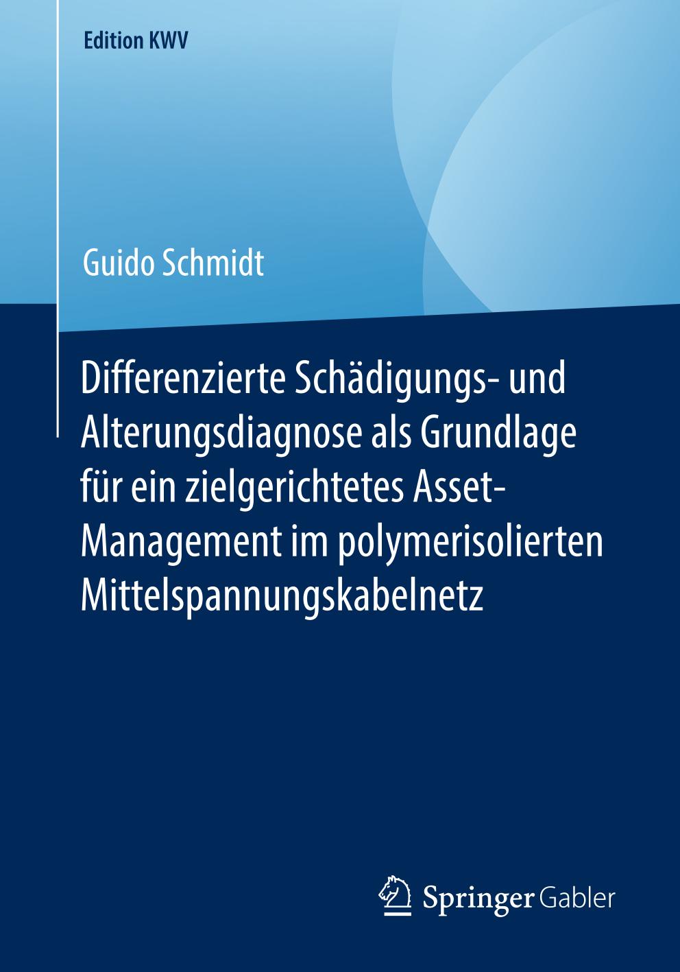 Differenzierte Schädigungs- und Alterungsdiagnose Als Grundlage Für ein Zielgerichtetes Asset-Management Im Polymerisolierten Mittelspannungskabelnetz