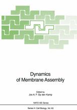 Dynamics of membrane assembly