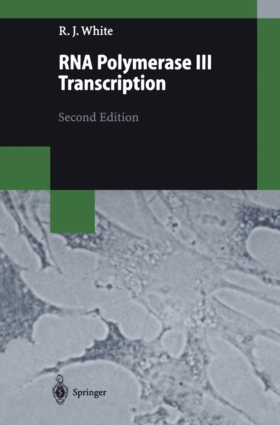 RNA Polymerase III Transcription.