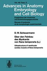 Über den Feinbau des Myokards von Rana temporaria (L.) / Ultrastructure of ventricular cardiac muscle of Rana temporaria