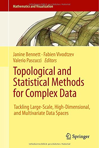 Topological and Statistical Methods for Complex Data