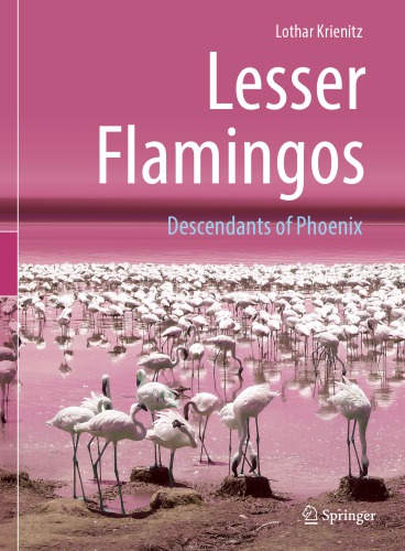 Lesser Flamingos Descendants of Phoenix