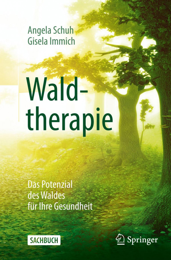 Waldtherapie - das Potential des Waldes für Ihre Gesundheit